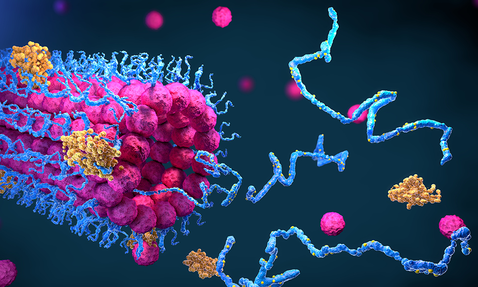 ANALYZING PROTEINS 